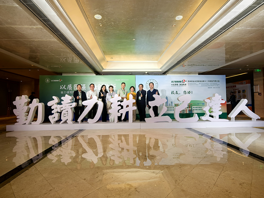 1735262943256098.jpg 圖片5.jpg